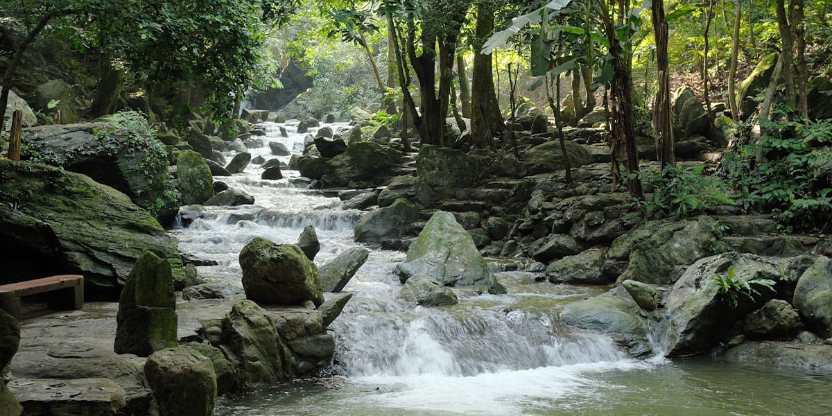 Capture the authentic charm of Hanoi’s eco-paradise